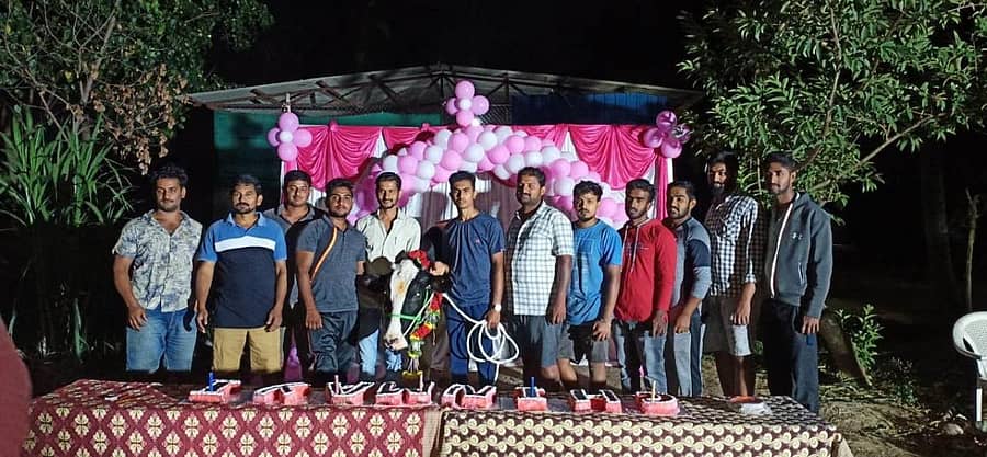 ಸಂಕಲಗೆರೆ ಗ್ರಾಮದಲ್ಲಿ ಶುಕ್ರವಾರ ಹಸುವಿನ ಜನ್ಮದಿನವನ್ನು ಆಚರಿಸಲಾಯಿತು