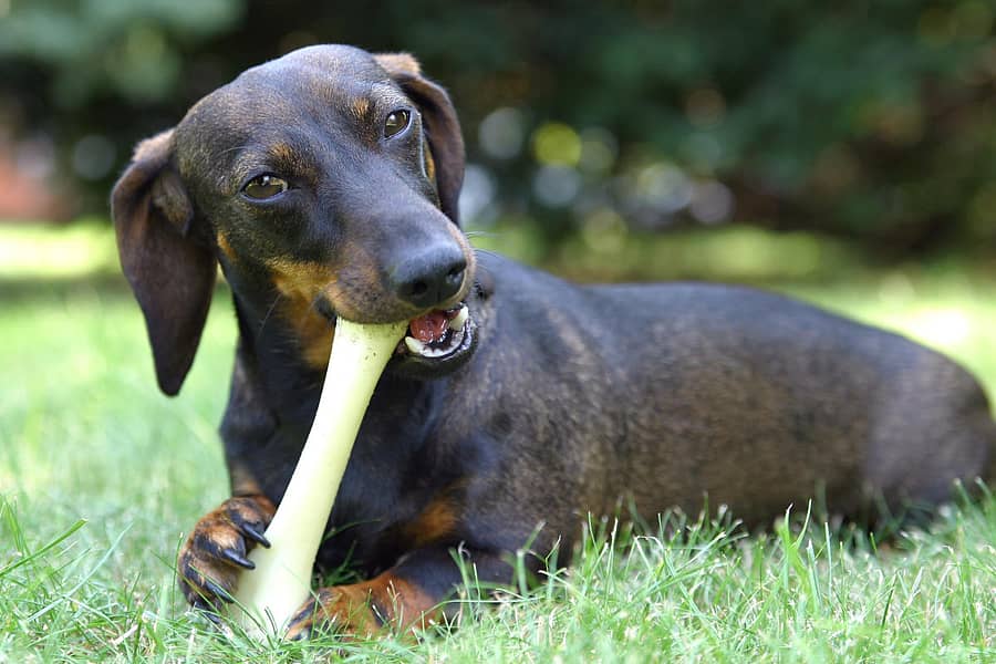 ಸಾಂದರ್ಭಿಕ ಚಿತ್ರ