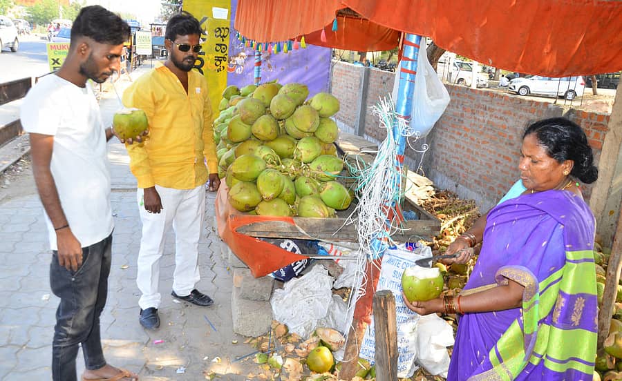 ಯಾದಗಿರಿಯ ಪದವಿ ಮಹಾವಿದ್ಯಾಲಯದ ಬಳಿ ಎಳನೀರು ಸೇವಿಸುತ್ತಿರುವ ಯುವಕರು ಪ್ರಜಾವಾಣಿ ಚಿತ್ರ/ ರಾಜಕುಮಾರ ನಳ್ಳಿಕರ