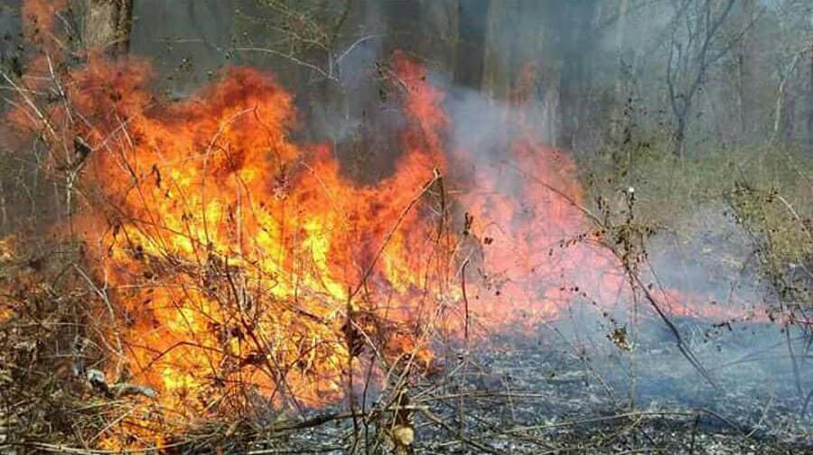 ಸಾಂದರ್ಭಿಕ ಚಿತ್ರ