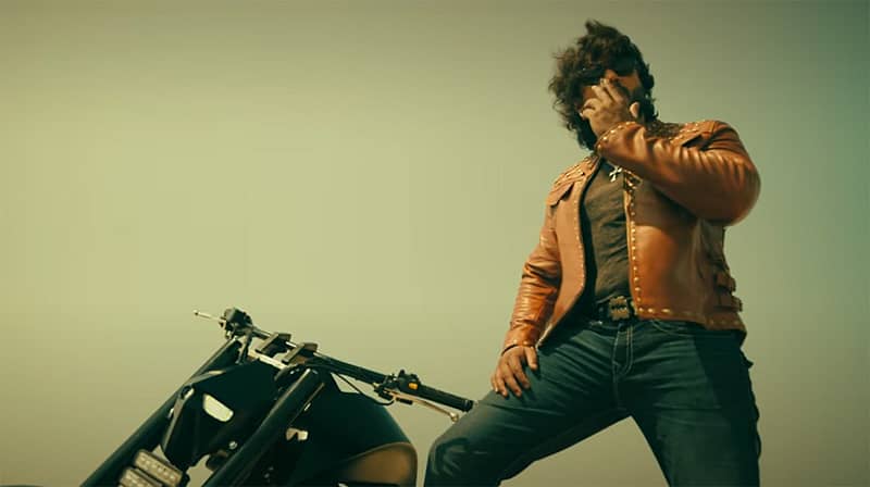 ರಾಬರ್ಟ್ ಚಿತ್ರದಲ್ಲಿ ದರ್ಶನ್