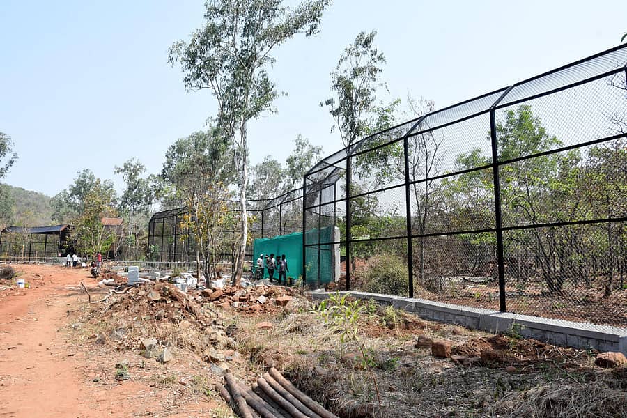 ಬೆಳಗಾವಿ ತಾಲ್ಲೂಕು ಭೂತರಾಮನಹಟ್ಟಿ ಮೃಗಾಲಯದಲ್ಲಿ ಅಭಿವೃದ್ಧಿ ಕಾಮಗಾರಿಗಳು ಪ್ರಗತಿಯಲ್ಲಿವೆಪ್ರಜಾವಾಣಿ ಚಿತ್ರ: ಏಕನಾಥ ಅಗಸಿಮನಿ