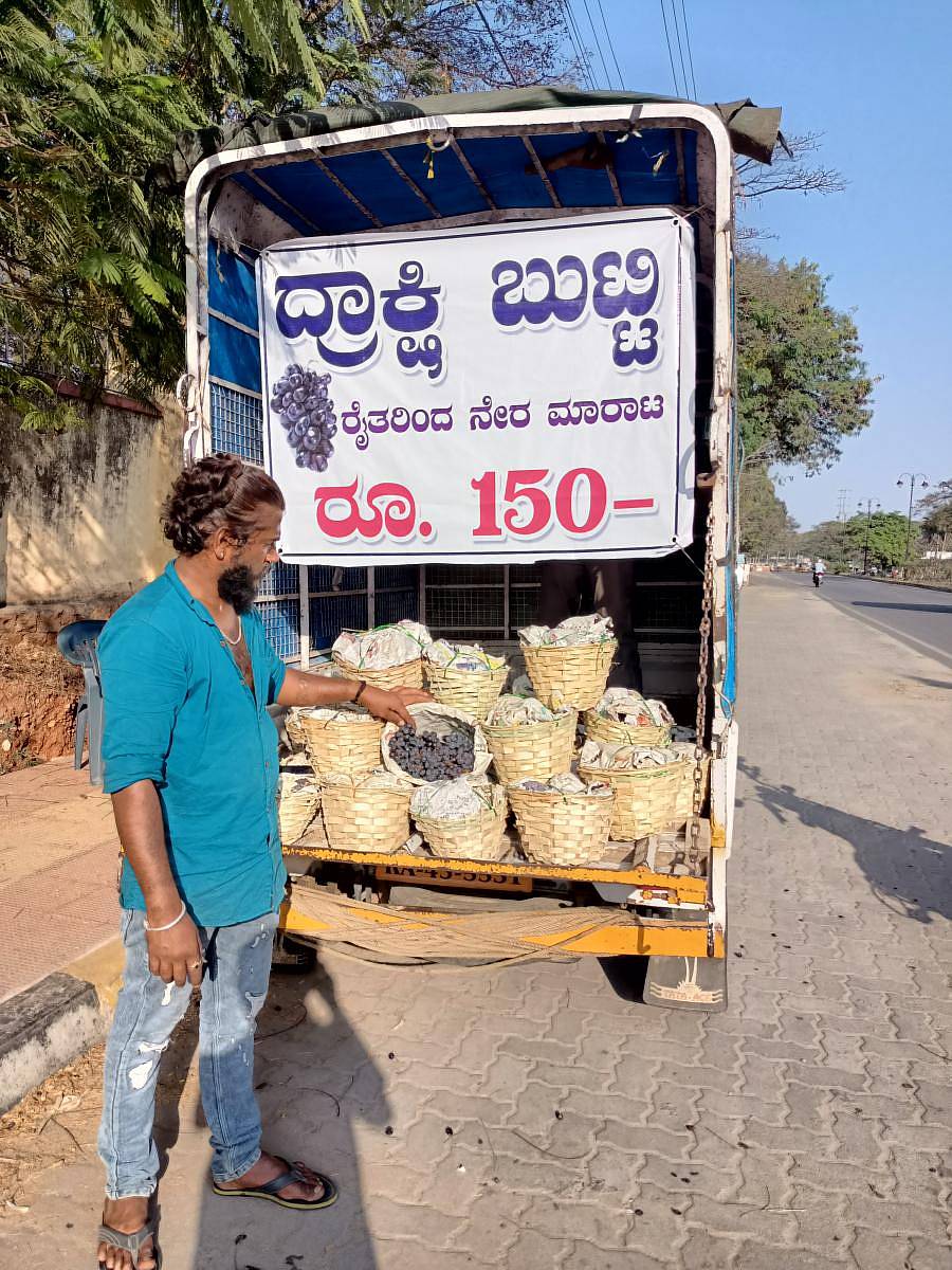 ಚಿಕ್ಕಬಳ್ಳಾಪುರದ ಕಪ್ಪು ದ್ರಾಕ್ಷಿಯನ್ನು ಮೈಸೂರಿನಲ್ಲಿ ಮಾರಾಟ ಮಾಡುವ ದೊಡ್ಡಬಳ್ಳಾಪುರದ ದ್ರಾಕ್ಷಿ ಬೆಳೆಗಾರ ಮುತ್ತು