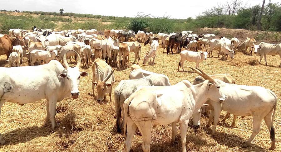 ಸಾಂದರ್ಭಿಕ ಚಿತ್ರ