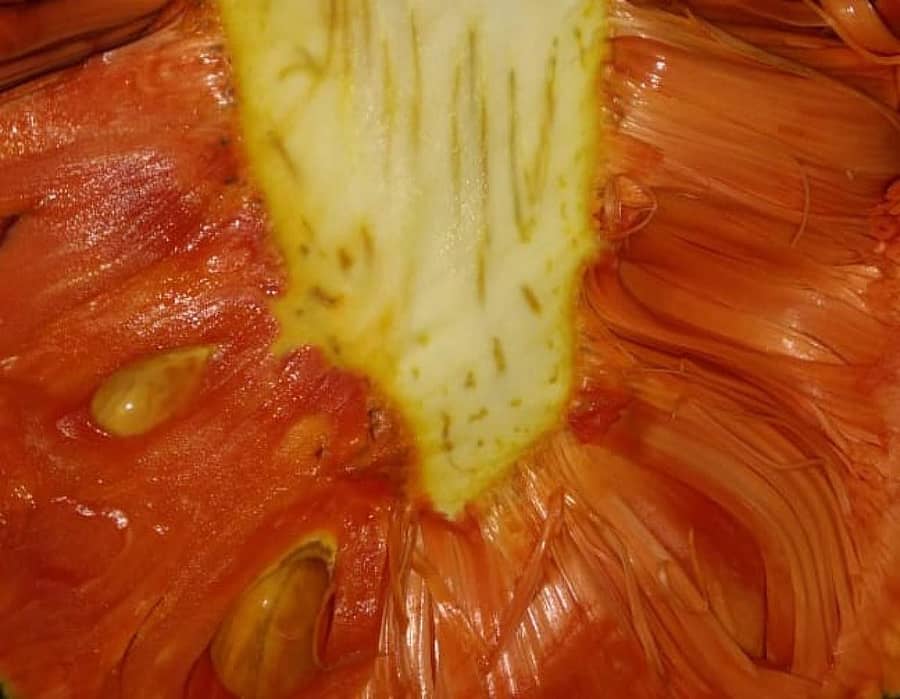 ‘ಶ್ರೀ’ ತಳಿ ಹಲಸಿನ ಹಣ್ಣು