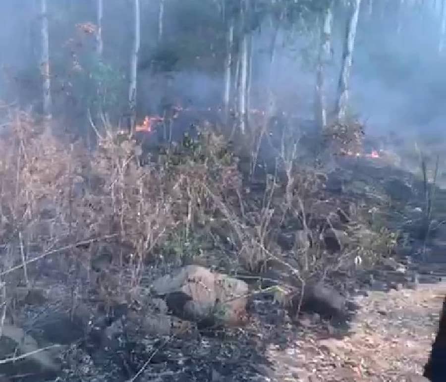 ತುರಹಳ್ಳಿ ಅರಣ್ಯದಲ್ಲಿ ಕಾಣಿಸಿಕೊಂಡ ಬೆಂಕಿ