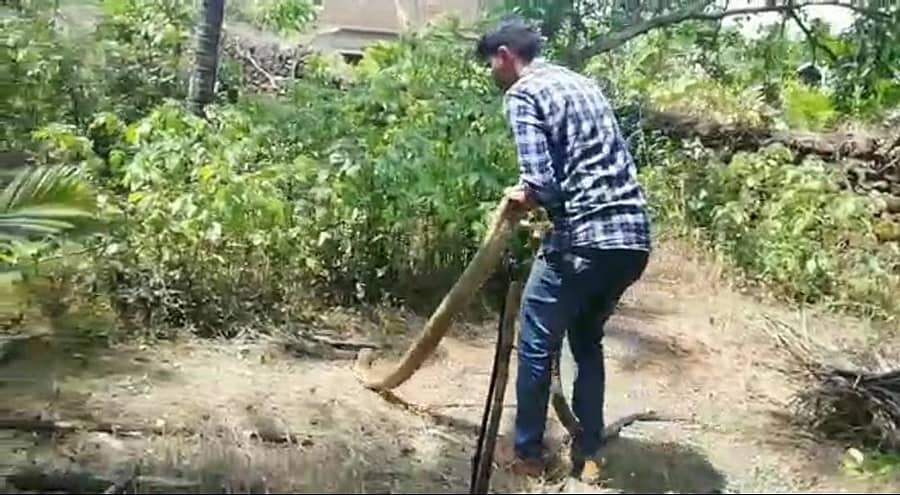 ಉರಗ ಪ್ರೇಮಿ ಪವನ ನಾಯ್ಕ