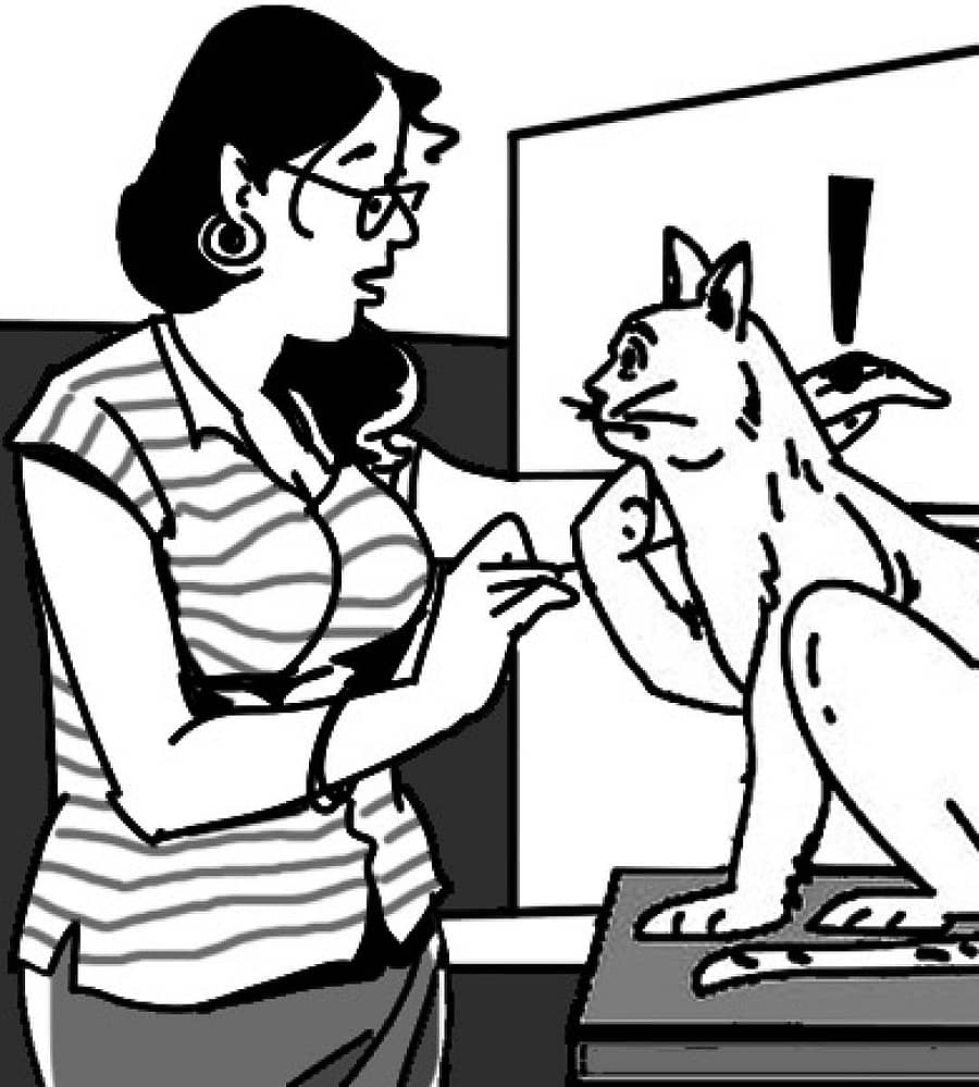 ಸಾಂಕೇತಿಕ ಚಿತ್ರ