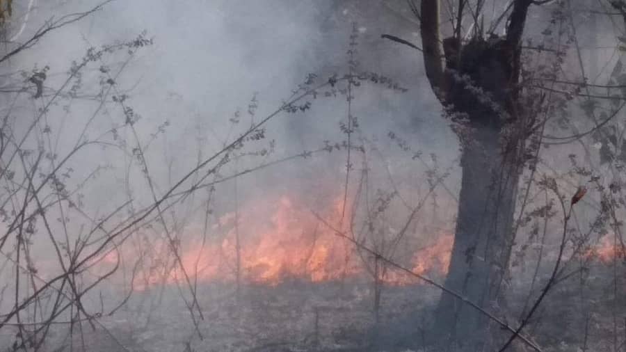 ಬೀದರ್ ತಾಲ್ಲೂಕಿನ ಜಮಿಸ್ತಾನಪುರ ಹಿಂದುಗಡೆಯ ಅರಣ್ಯ ಪ್ರದೇಶದಲ್ಲಿ ಆಕಸ್ಮಿಕ ಬೆಂಕಿಯಿಂದಾಗಿ ಮರ ಗಿಡಗಳಿಗೆ ಹಾನಿಯಾಗಿರುವುದು