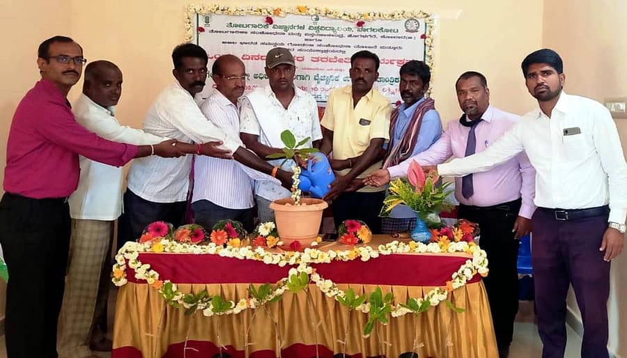 ಶ್ರೀನಿವಾಸಪುರ ತಾಲ್ಲೂಕಿನ ಲಕ್ಷ್ಮೀಸಾಗರ ಗ್ರಾಮದಲ್ಲಿ ಮಂಗಳವಾರ ಏರ್ಪಡಿಸಿದ್ದ ಗೇರು ಕೃಷಿ ಕುರಿತ ರೈತ ತರಬೇತಿಯನ್ನು ಹೊಗಳಗೆರೆ ತೋಟಗಾರಿಕಾ ಸಂಶೋಧನಾ ಮತ್ತು ವಿಸ್ತರಣಾ ಕೇಂದ್ರದ ಮುಖ್ಯಸ್ಥ ಡಾ.ಆರ್.ಕೆ. ರಾಮಚಂದ್ರ ಉದ್ಘಾಟಿಸಿದರು