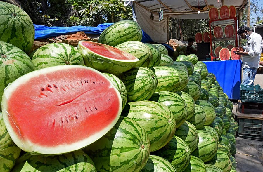 ಹೆಚ್ಚುತ್ತಿರುವ ತಾಪಮಾನಕ್ಕೆ ಬೆಂಗಳೂರಿನಲ್ಲಿ ಕಲ್ಲಂಗಡಿ ಹಣ್ಣುನ ಖರೀದಿ ಹೆಚ್ಚಾಗಿದೆ. ನಗರದ ಜಯಮಹಲ್ ರಸ್ತೆಯಲ್ಲಿ ಬೇಸಿಗೆಯ ಪ್ರಯುಕ್ತ ವ್ಯಕ್ತಿಯೊಬ್ಬ ಕಲ್ಲಂಗಡಿ ಹಣ್ಣುನ್ನು ಮಂಗಳವಾರ ತೆಗೆದುಕೊಳ್ಳುತ್ತಿರುವ ದೃಶ್ಯ ಕಂಡು ಬಂತು –ಪ್ರಜಾವಾಣಿ ಚಿತ್ರ