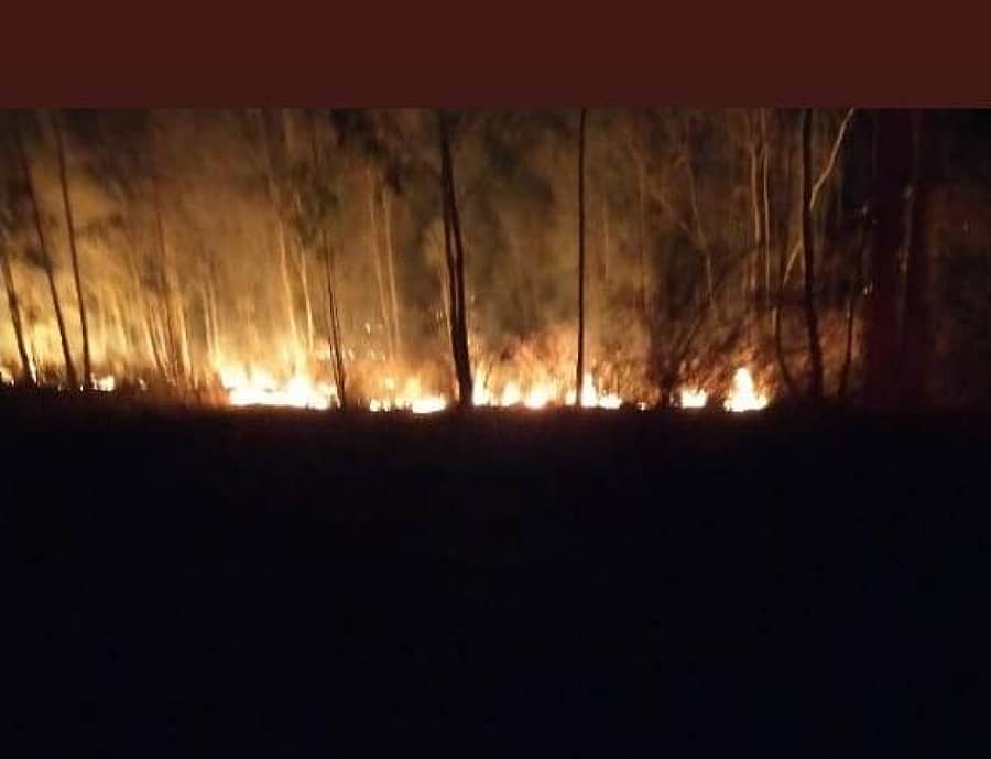 ಕೆ.ಆರ್.ಪೇಟೆ ತಾಲ್ಲೂಕಿನ ಬಿ.ಬಿ ಕಾವಲು ಸಮೀಪದಲ್ಲಿರುವ ಅರಣ್ಯ ಪ್ರದೇಶಕ್ಕೆ ಶುಕ್ರವಾರ ರಾತ್ರಿ ಬೆಂಕಿ ಬಿದ್ದಿರುವುದು