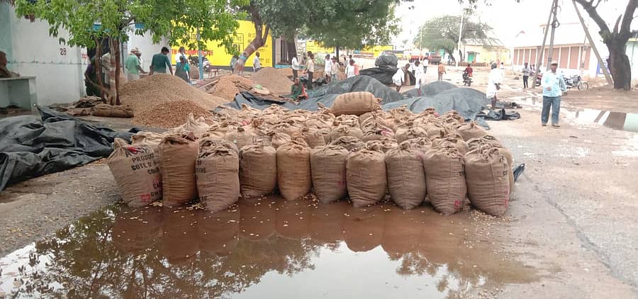 ಯಾದಗಿರಿಯ ಎಪಿಎಂಸಿ ಆವರಣದಲ್ಲಿ ಮಾರಾಟಕ್ಕೆ ತಂದಿದ್ದ ಶೇಂಗಾ ನೀರಿನಲ್ಲಿ ನಿಂತಿರುವುದು