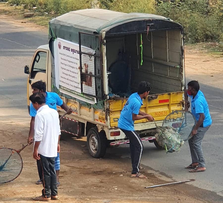ಚಿಕ್ಕಮಗಳೂರಿನ ರಾಮನಹಳ್ಳಿಯಲ್ಲಿ ಸೋಮವಾರ ಬೀದಿನಾಯಿಯೊಂದನ್ನು ಹಿಡಿದು ವಾಹನಕ್ಕೆ ಹಾಕುತ್ತಿರುವುದು.
