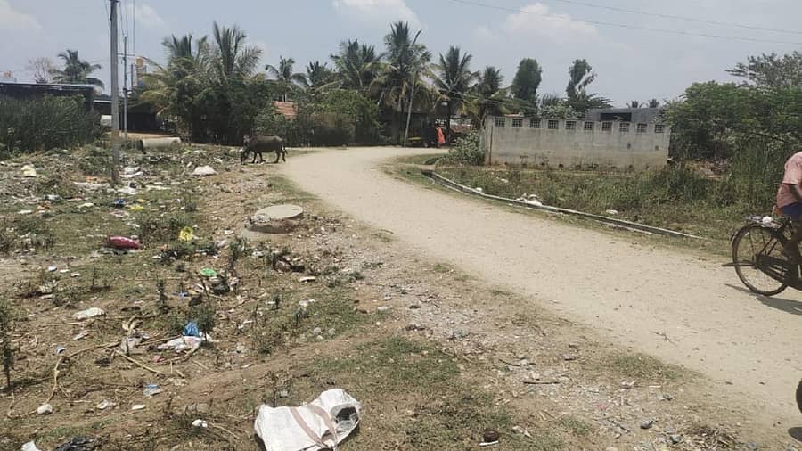 ರಸ್ತೆಗೆ ಇನ್ನೂ ಡಾಂಬರು ಹಾಕಿಲ್ಲ. ರಸ್ತೆ ಬದಿಯಲ್ಲೇ ಕಸ ಎಸೆದಿರುವುದು