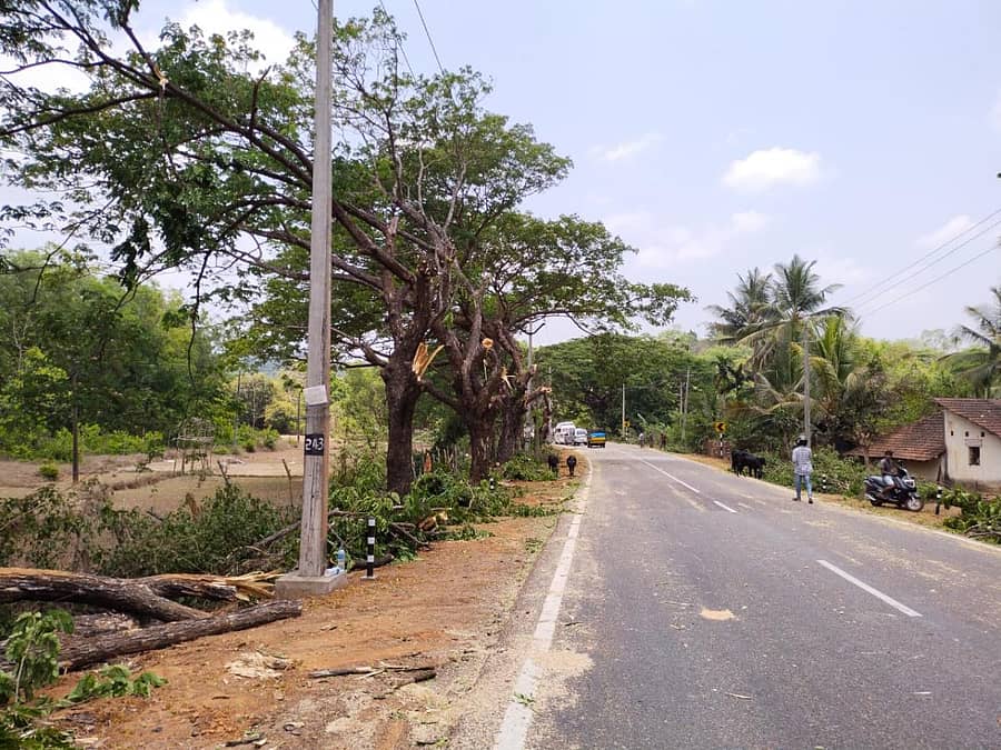 ಅಂಕೋಲಾ ತಾಲ್ಲೂಕಿನ ಹೆಬ್ಬುಳದಲ್ಲಿ ರಾಷ್ಟ್ರೀಯ ಹೆದ್ದಾರಿ 63ರ ತಿರುವಿನಲ್ಲಿ ವಿಶಾಲವಾಗಿ ಚಾಚಿಕೊಂಡಿದ್ದ ಮರದ ಟೊಂಗೆಗಳನ್ನು ಶನಿವಾರ ಕತ್ತರಿಸಲಾಯಿತು