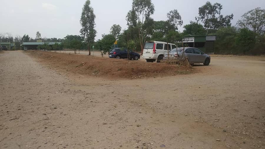 ಸದಾ ವಾಹನಗಳಿಂದ ಕೂಡಿರುತ್ತಿದ್ದ ಸಫಾರಿ ಕೌಂಟರ್ನ ವಾಹನ ನಿಲುಗಡೆ ಪ್ರದೇಶದಲ್ಲಿ ಈಗ ವಾಹನಗಳ ಸಂಖ್ಯೆ ಕಡಿಮೆಯಾಗಿದೆ