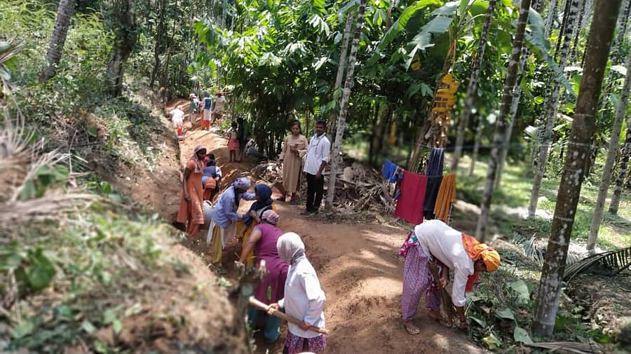 ಉದ್ಯೋಗ ಖಾತ್ರಿ ಅಡಿಯಲ್ಲಿ ತೋಟದ ಕಾಮಗಾರಿ