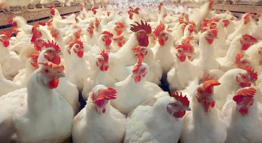 ಸಾಂದರ್ಭಿಕ ಚಿತ್ರ