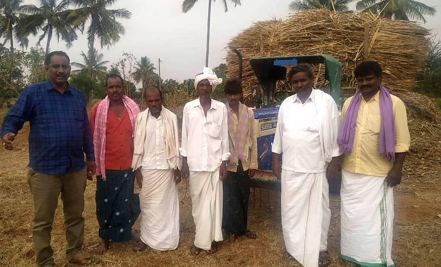 ನಾಯಕನಹಟ್ಟಿ ಹೋಬಳಿಯ ಮಲ್ಲೇಬೋರನಹಟ್ಟಿ ಗ್ರಾಮದ ವಡಲೇಶ್ವರ ದೇವರ ಎತ್ತುಗಳಿಗೆ ಮೇವು ವಿತರಿಸಲಾಯಿತು.