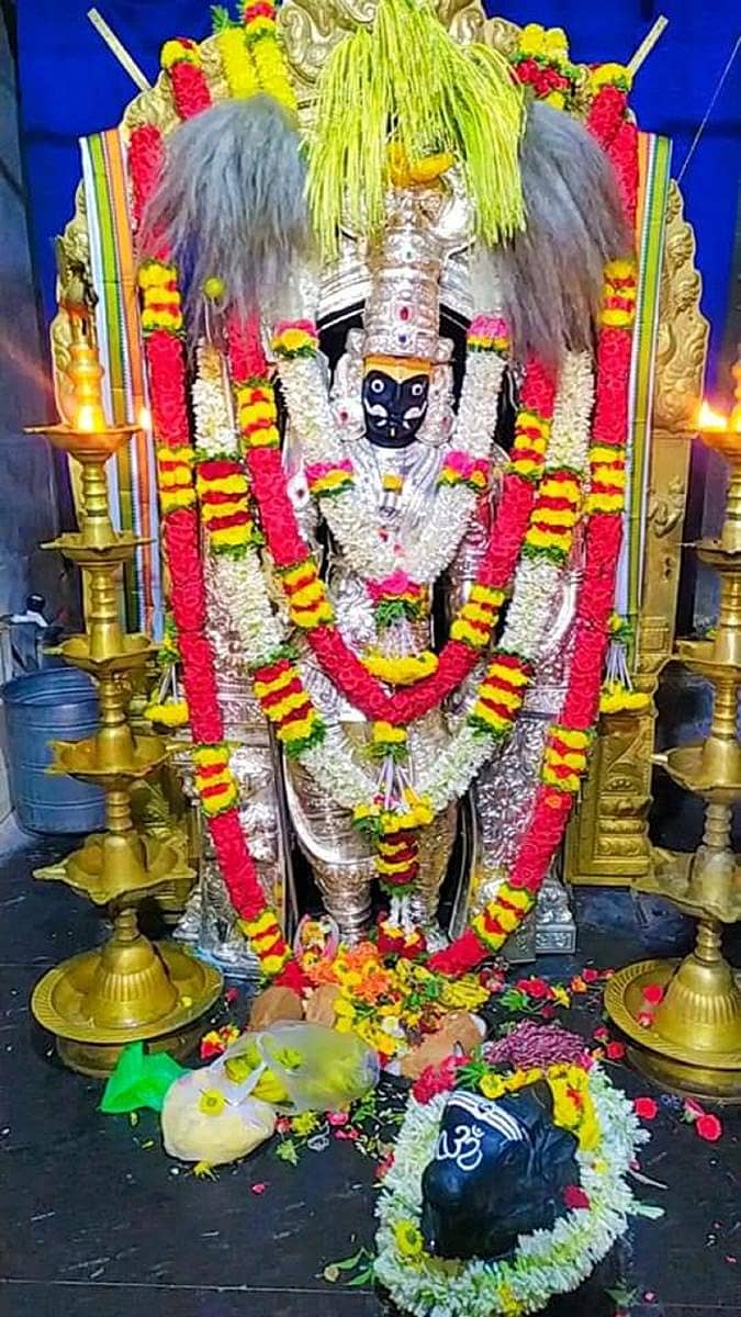 ಆನೇಕಲ್ ತಾಲ್ಲೂಕಿನ ಮಾಸ್ತೇನಹಳ್ಳಿಯಲ್ಲಿ ವೀರಭದ್ರಸ್ವಾಮಿ ಮಹಾರಥೋತ್ಸವದ ಅಂಗವಾಗಿ ಸ್ವಾಮಿಗೆ ವಿಶೇಷ ಅಲಂಕಾರ ಮಾಡಲಾಗಿತ್ತು