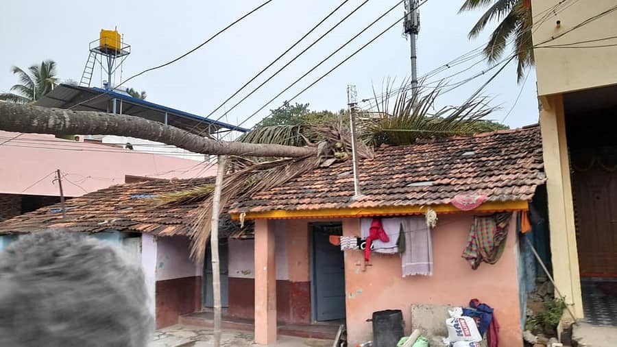 ಶಿವಮೊಗ್ಗದ ಮಿಳಘಟ್ಟದ ಮೂರನೇ ತಿರುವಿನಲ್ಲಿ ಮನೆ ಮೇಲೆ ತೆಂಗಿನ ಮರ ಬಿದ್ದಿರುವುದು.