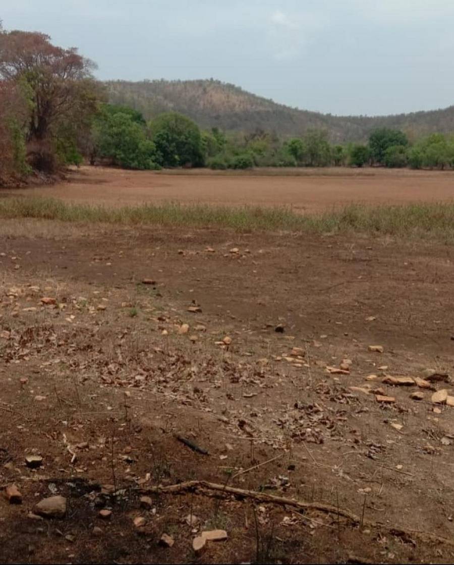 ಮಂಚಲದೊರೆಯ ಲಕ್ಷ್ಮಣ ಕೆರೆ ಸಂಪೂರ್ಣ ಬತ್ತಿದೆ