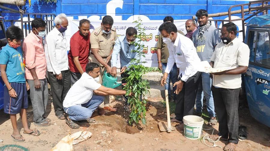 ವರನಟ ಡಾ.ರಾಜ್ಕುಮಾರ್ ಅವರ ಹುಟ್ಟುಹಬ್ಬದ ಅಂಗವಾಗಿ ವೀರಭದ್ರ ದೇವಸ್ಥಾನದ ಮುಂಭಾಗ ಗಿಡ ನೆಡಲಾಯಿತು