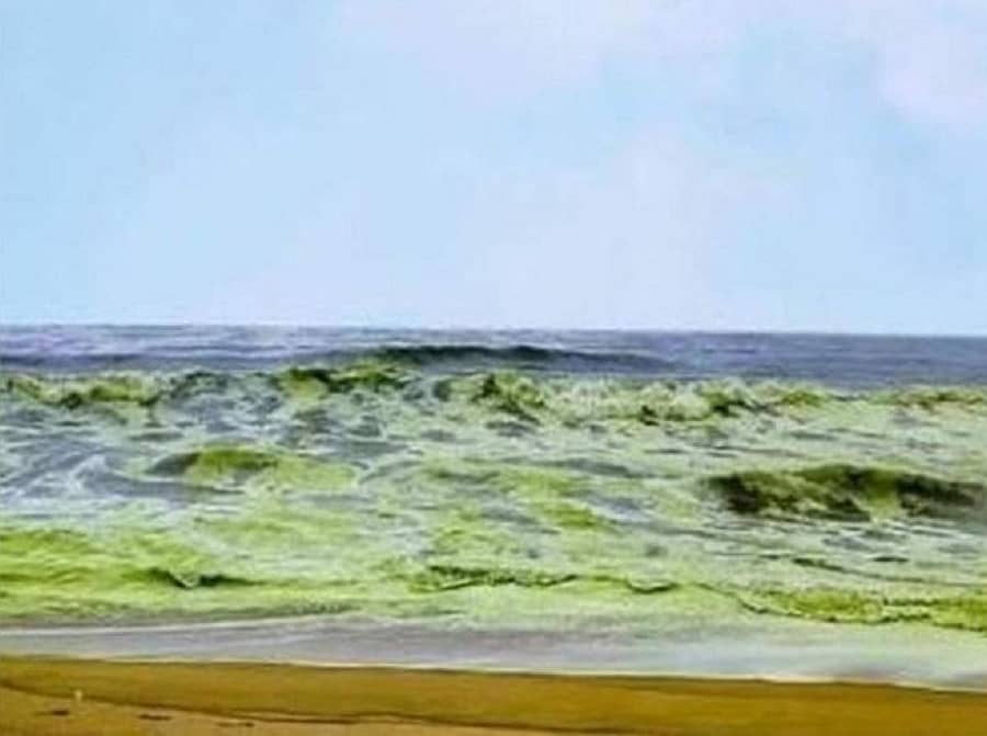 ಸಾಂದರ್ಭಿಕ ಚಿತ್ರ