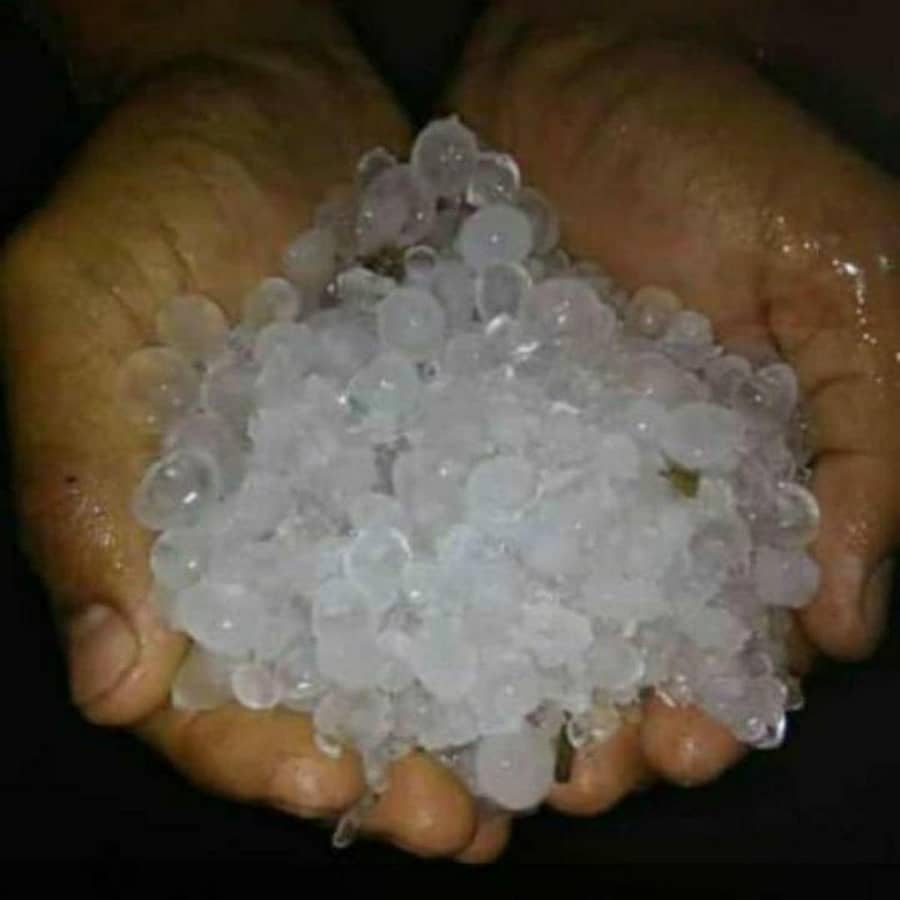 ಆಳಂದದಲ್ಲಿ ಸುರಿದ ಆಲಿಕಲ್ಲು