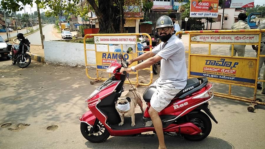 ಪುತ್ತೂರಿನ ದರ್ಬೆಯ ಪ್ರವೀಣ್ ಡಿಸೋಜ ಅವರು ತನ್ನ ಎರಡೂವರೆ ವರ್ಷದ ಶ್ವಾನದ ಮುಖಕ್ಕೆ ಮಾಸ್ಕ್ ಹಾಕಿರುವುದು