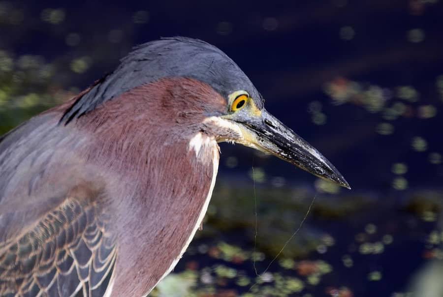ಸಾಂದರ್ಭಿಕ ಚಿತ್ರ