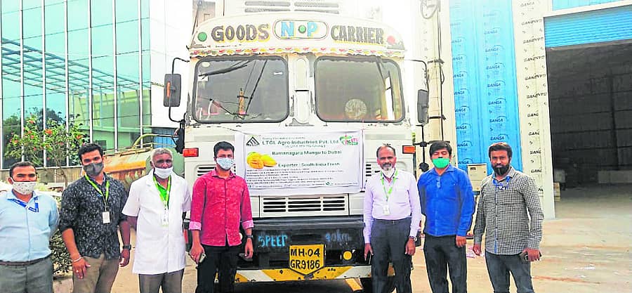 ಬಿಡದಿಯ ಎಲ್.ಟಿ.ಜಿ ಆಗ್ರೋ ಇಂಡಸ್ಟ್ರೀಸ್ ಕಂಪನಿಯಿಂದ ರಫ್ತಾದ ಮಾವು