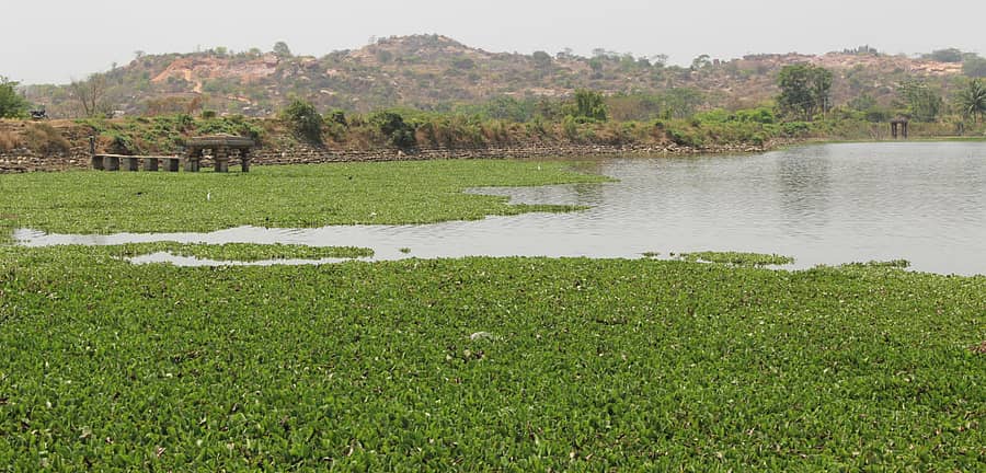 ಮಾಗಡಿ ತಾಲ್ಲೂಕಿನ ಪರಂಗಿಚಿಕ್ಕನಪಾಳ್ಯದ ಬಳಿ ಇರುವ ಭಾರ್ಗಾವತಿ ಕೆರೆ