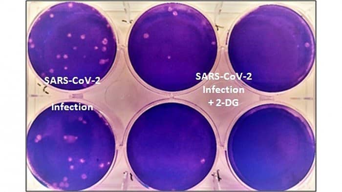 ಪಿಟಿಐ ಚಿತ್ರ