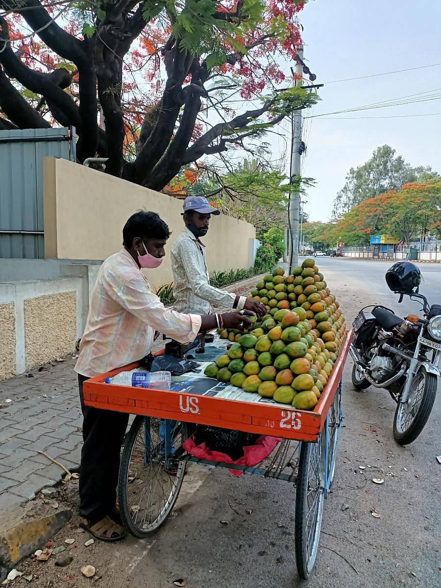 ಮೈಸೂರಿನಲ್ಲಿ ಮಾವಿನ ಹಣ್ಣಿನ ಮಾರಾಟ