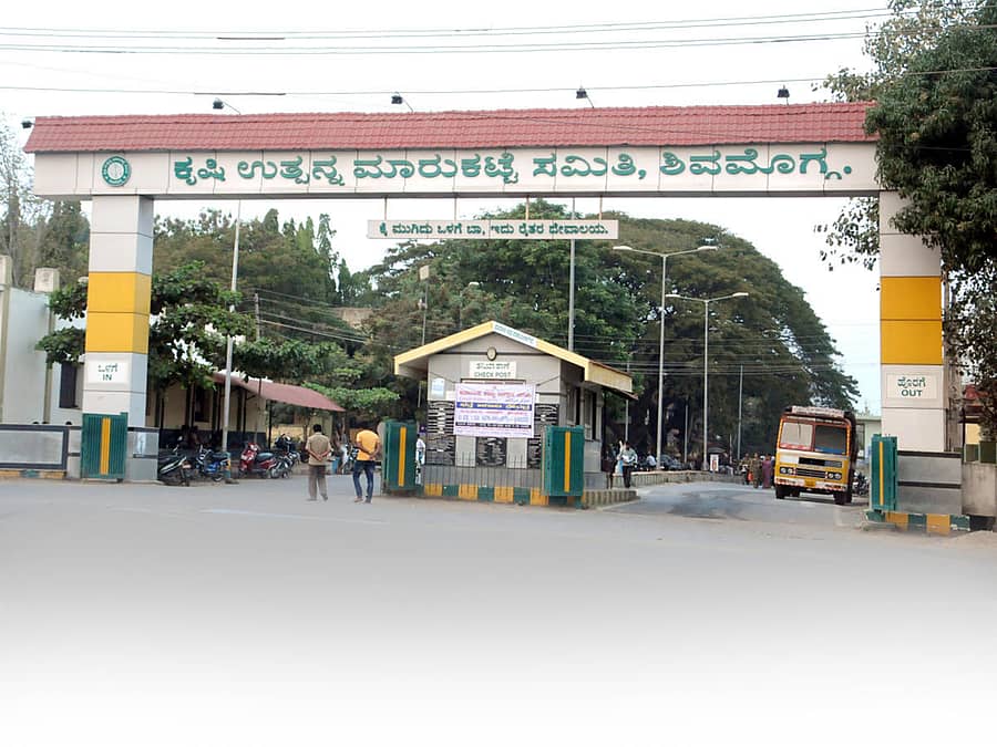 ಶಿವಮೊಗ್ಗ ಎಪಿಎಂಸಿಯ ನೋಟ