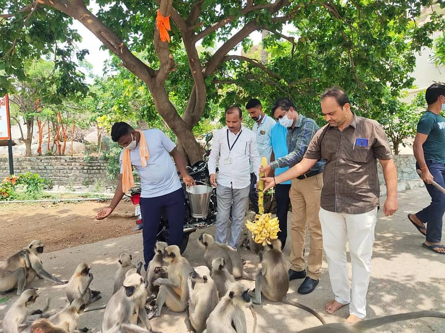 ಗಂಗಾವತಿ ತಾಲ್ಲೂಕಿನ ಅಂಜನಾದ್ರಿಯಲ್ಲಿ ಕೋತಿಗಳಿಗೆ ಕಂದಾಯ ಇಲಾಖೆ ಸಿಬ್ಬಂದಿ ಆಹಾರ ನೀಡಿದರು