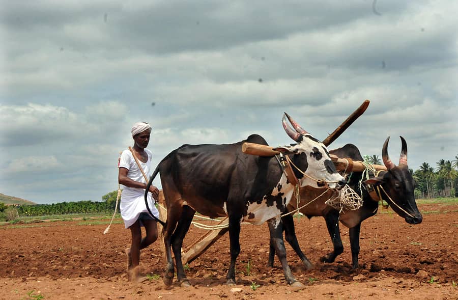 ಪ್ರಾತಿನಿಧಿಕ ಚಿತ್ರ