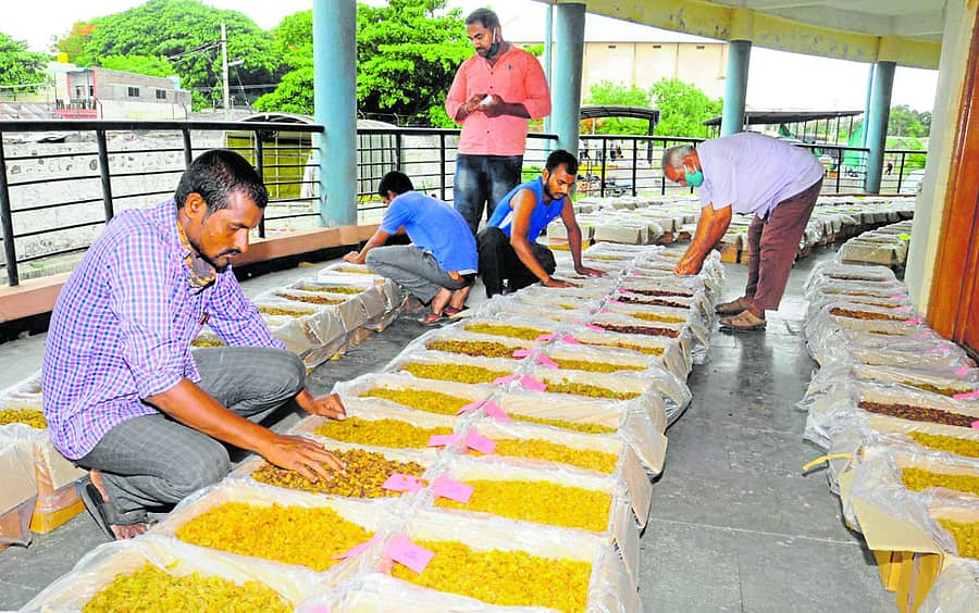 ವಿಜಯಪುರದ ಇ–ಟ್ರೇಡಿಂಗ್ ಮಾರುಕಟ್ಟೆಯಲ್ಲಿ ರೈತರು ಮಾರಾಟಕ್ಕೆ ಜೋಡಿಸಿಟ್ಟರುವ ಒಣ ದ್ರಾಕ್ಷಿ (ಪ್ರಜಾವಾಣಿ ಸಂಗ್ರಹ ಚಿತ್ರ)