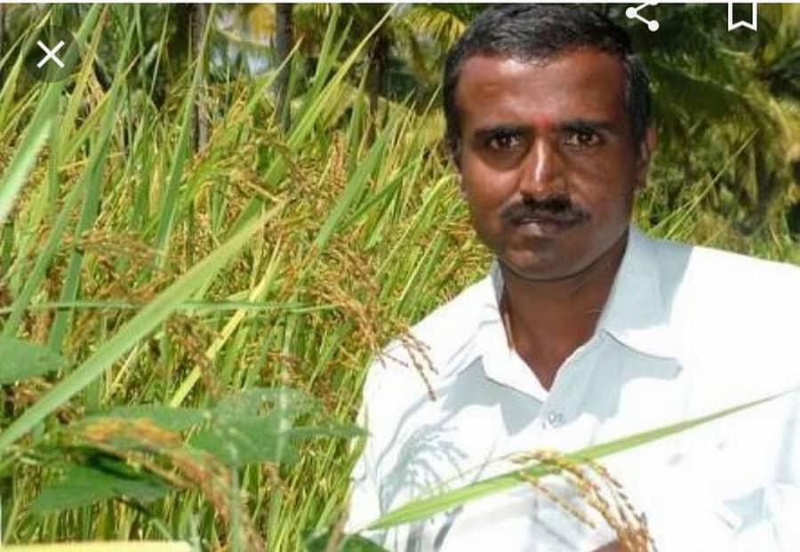 ಭತ್ತದ ಬೋರೇಗೌಡ