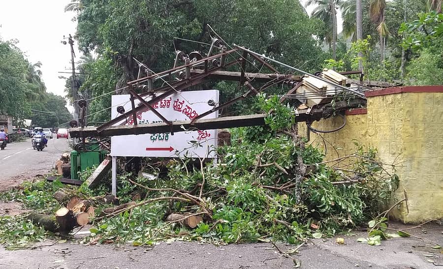 ಕಾರವಾರದ ಹಬ್ಬುವಾಡ ರಸ್ತೆಯಲ್ಲಿ ಬಸ್ ಡಿಪೊ ಬಳಿ ಮರ ಬಿದ್ದು ವಿದ್ಯುತ್ ಪರಿವರ್ತಕಕ್ಕೆ ಹಾನಿಯಾಗಿರುವುದು