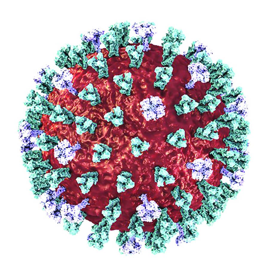 ಸಾಂಕೇತಿಕ ಚಿತ್ರ