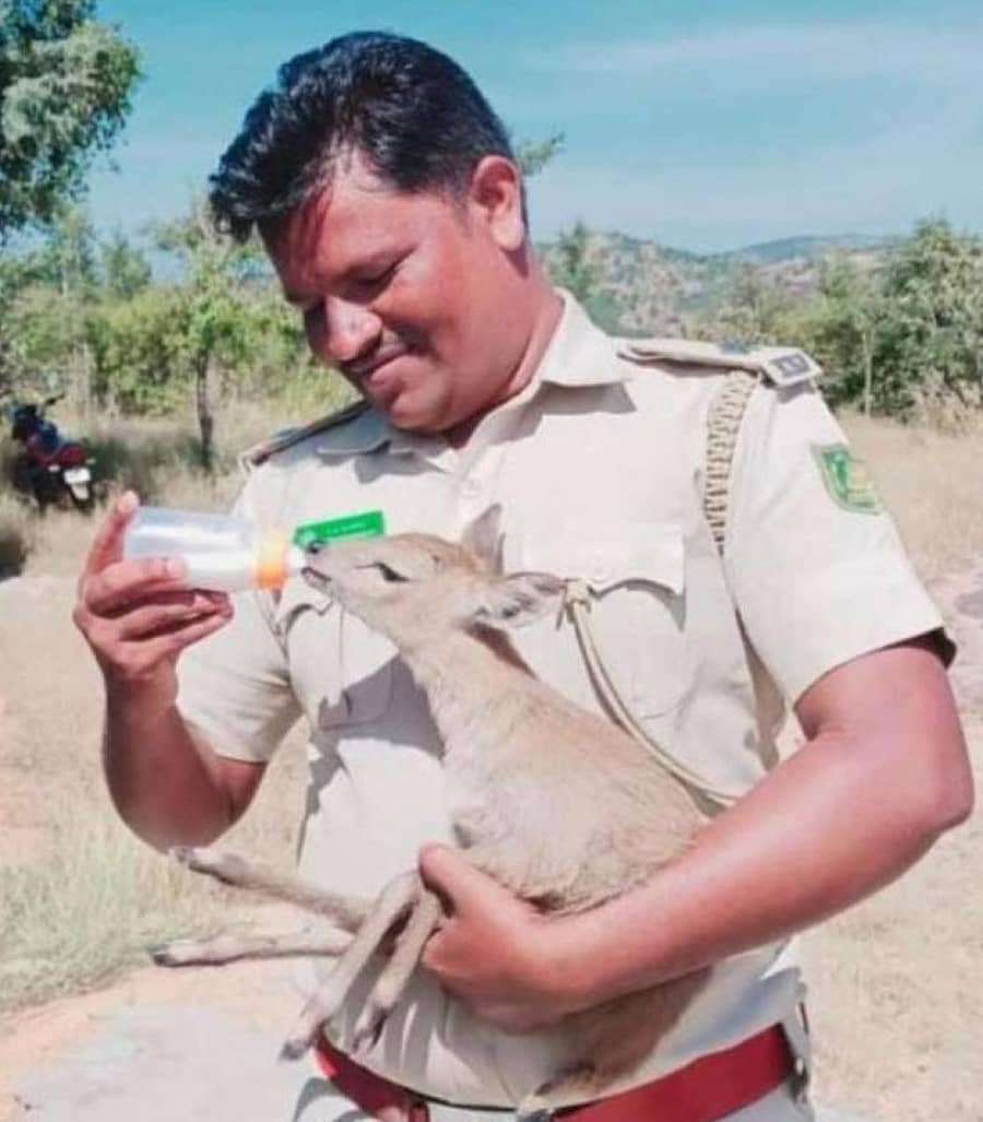 ಬಿ. ಮೈಲಾರಪ್ಪ