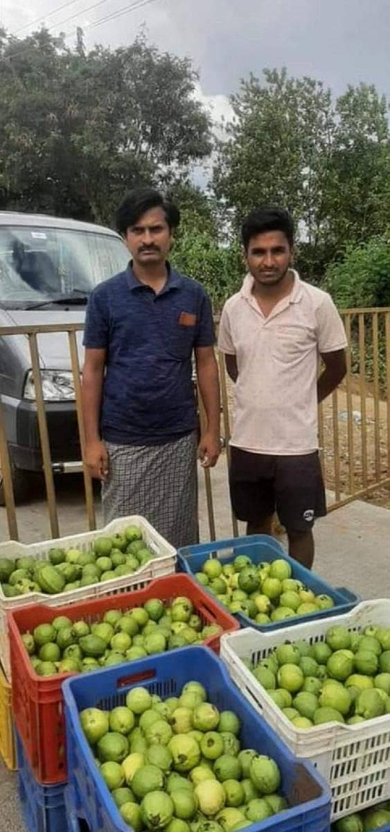 ತಾವು ಬೆಳೆದ ಪೇರಲ ಹಣ್ಣಿನ ಜೊತೆಗೆ ಮೆಳ್ಳಕಟ್ಟೆಯ ರೈತ ಸಹೋದರರಾದ ಜಯವರ್ಧನ ಹಾಗೂ ದೇವರಾಜ್.