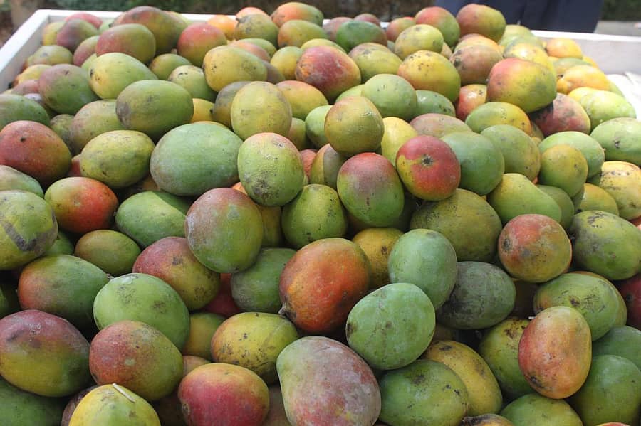 –ಸಾಂದರ್ಭಿಕ ಚಿತ್ರ