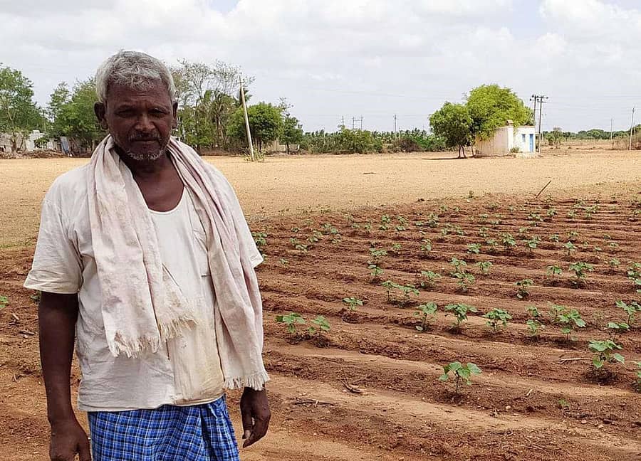 ಅಳವಂಡಿ ಸಮೀಪದ ಬೆಳಗಟ್ಟಿ ಗ್ರಾಮದ ರೈತ ಬಸಪ್ಪ ಪೂಜಾರ ತಮ್ಮ ಜಮೀನಿನಲ್ಲಿ ಚರಂಡಿ ನೀರು ಬಳಸಿ ಬೆಳೆದಿರುವ ಬಿಟಿ ಹತ್ತಿ ಬೆಳೆ
