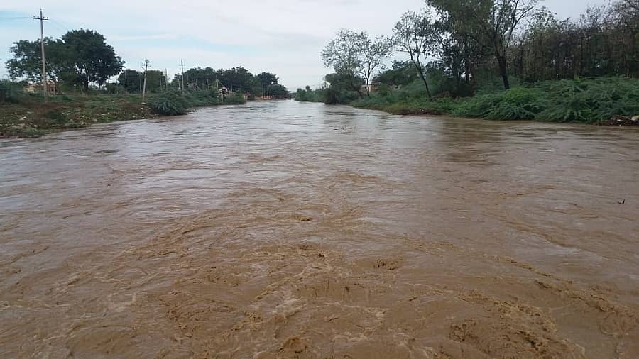 ಶುಕ್ರವಾರ ರಾತ್ರಿ ಸುರಿದ ಮಳೆಯಿಂದಾಗಿ ಕಾಳಗಿಯ ರೌದ್ರಾವತಿ ನದಿ ಉಕ್ಕೇರಿದೆ