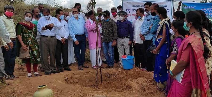 ಮಾಗಡಿ ತಾಲ್ಲೂಕಿನ ಮಾದಿಗೊಂಡನಹಳ್ಳಿ ಗುಡ್ಡದ ರಂಗನಾಥಸ್ವಾಮಿ ದೇವಾಲಯದ ಬಳಿ ತಾ.ಪಂ. ಇಒ ಟಿ. ಪ್ರದೀಪ್ ಸಸಿ ನೆಟ್ಟರು