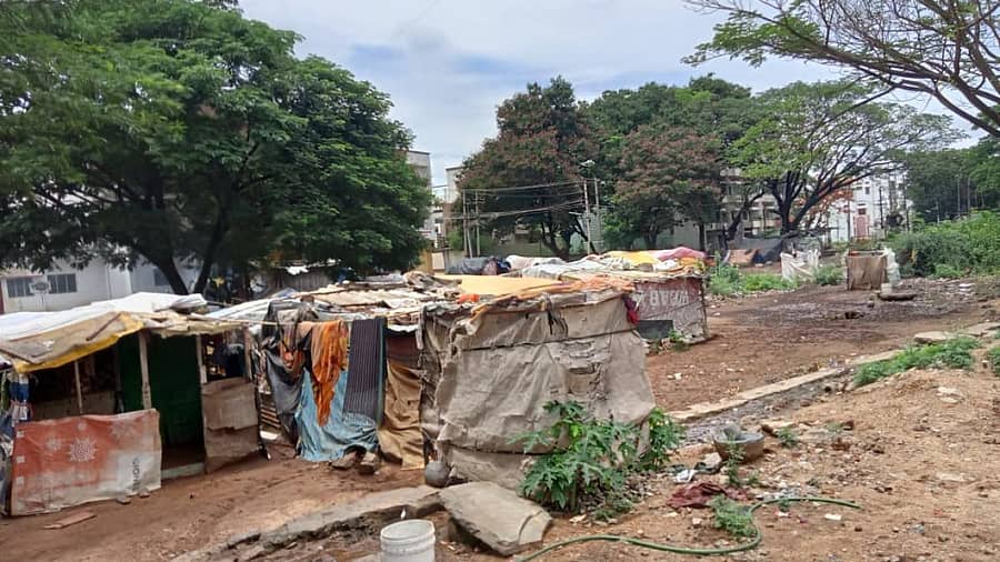 ದಾವಣಗೆರೆಯಲ್ಲಿ ಅಲೆಮಾರಿಗಳು ಟೆಂಟ್ ಹಾಕಿಕೊಂಡಿರುವುದು